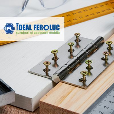 Cum-va-creste-afacerea-Ideal-Feroluc-din-Bacau-dupa-automatizarea-depozitelor-preview-400x400