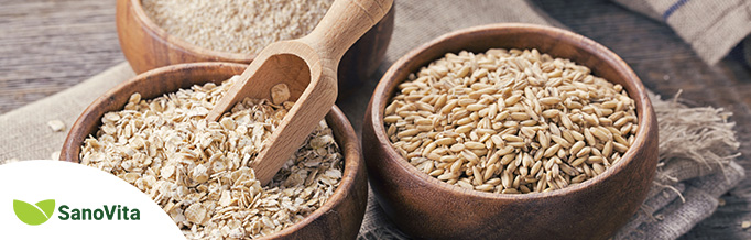 beneficiile aduse de sfa si wms companiei sano vita