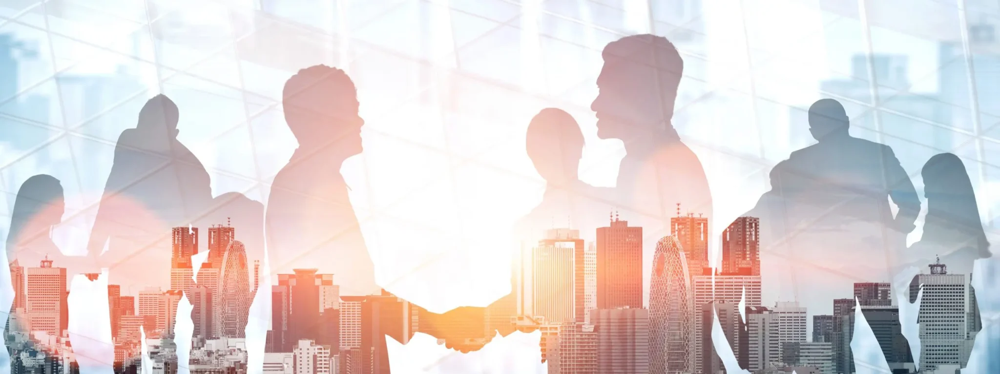 solicita o intalnire cu un consultant senior software dec 2022