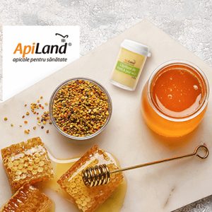 ApiLand a redus timpul de procesare a comenzilor cu pana la 40% cu software ERP