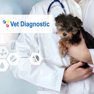 Distribuitorul Vet Diagnostic a crescut profitabilitatea afacerii cu solutiile Senior Software