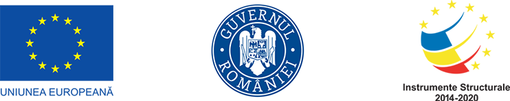 sigle-fonduri-europene-2023-v2 comunicare