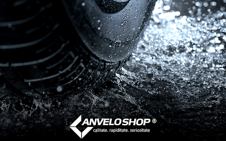 anveloshop utilizand pachetul de sisteme ERP si BI de la Senior Software