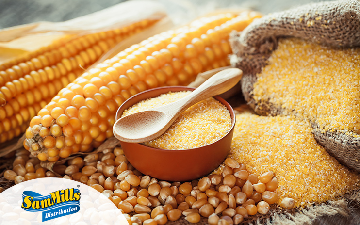 SamMills Distribution a ales solutiile integrate ERP, SFA, WMS si Business Intelligence de la Senior Software