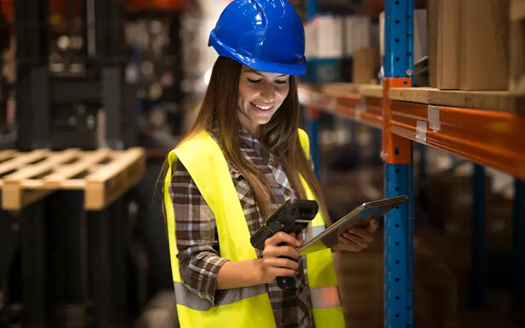 Senior Software anunta disponibilitatea solutiei Logistic Vision Suite de la Mantis