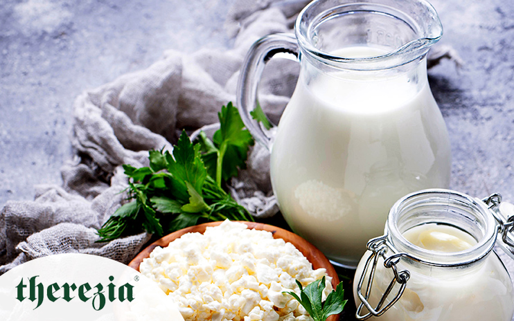 Therezia Prodcom a ales sa integreze activitatile de productie si distributie cu ajutorul sistemelor ERP si BI