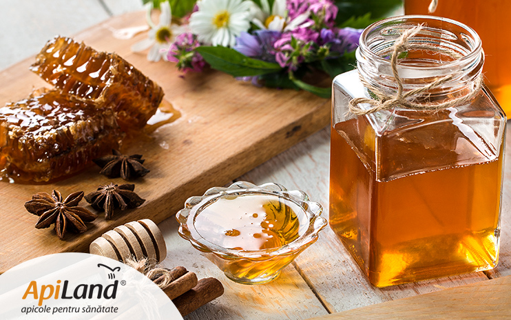 apiland utilizeaza solutii integrate pentru managementul de business erp si bi