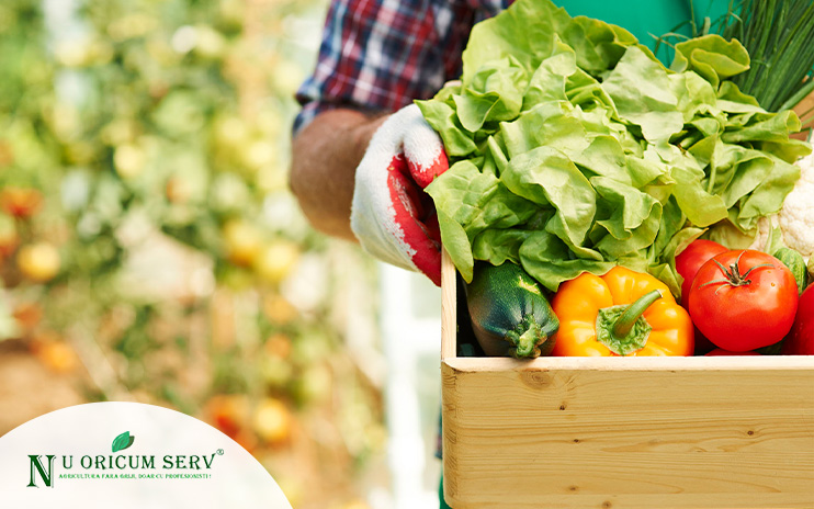 distribuitorul-nu-oricum-serv-a-implementat-sistemele-erp-si-hr-de-la-senior-software