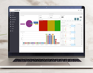 SeniorERP-soft-ERP-dedicat-companiilor-mici-si-mijlocii