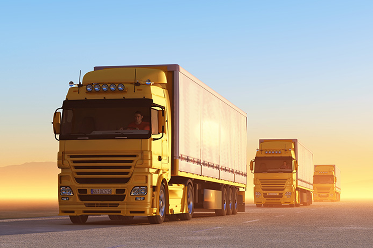 e-transport-anaf-ro-e-transport-sistemul-de-monitorizare-pentru-bunurile-cu-risc-fiscal-ridicat bg