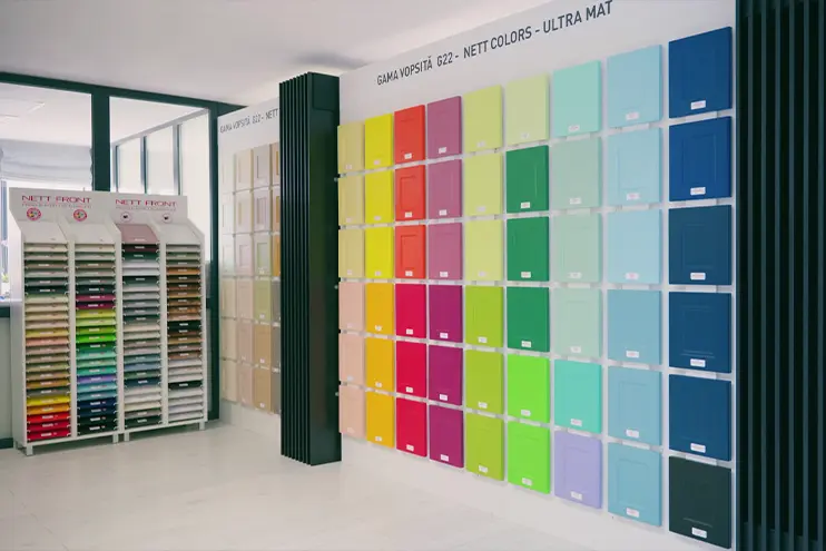 imagine preview studiu de caz video net front implementare erp