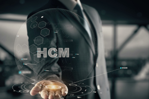 hcm-soft-hr-software-resurse-umane-ce-este-hcm-human-capital-management-software-hrm-resurse-umane2