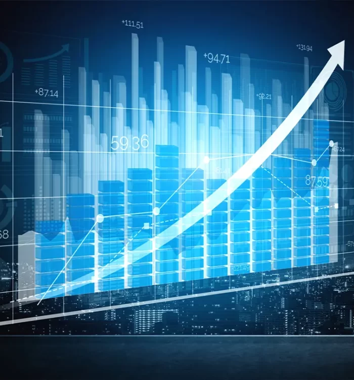 sistem bi raportare si analiza companie despre companie senior software