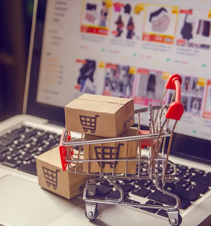 sistem ecommerce b2b b2c despre companie senior software