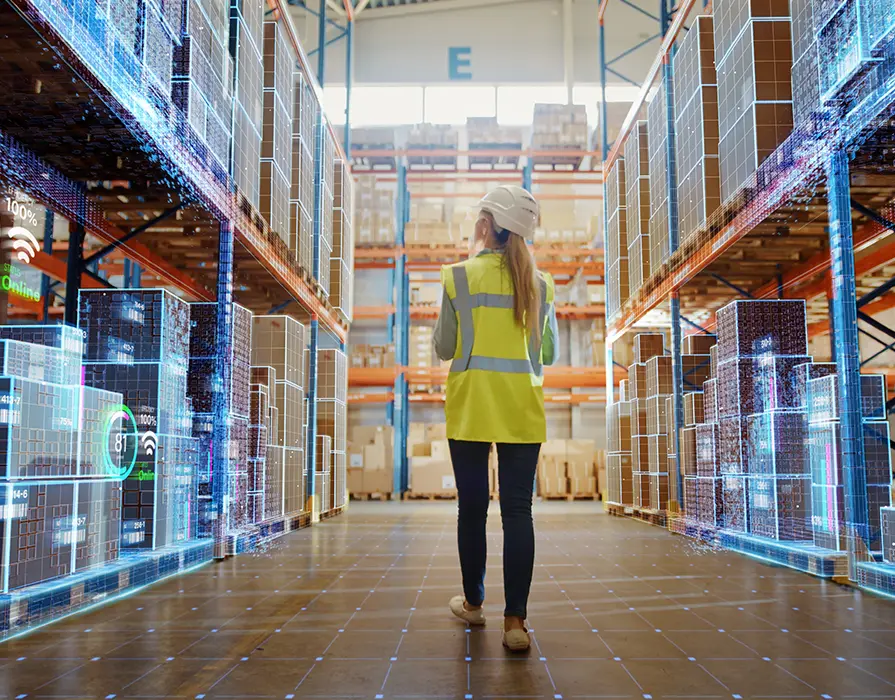 functionalitati management stocuri in sistemul wms 2024