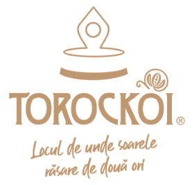 torockoi logo actualizat client senior software