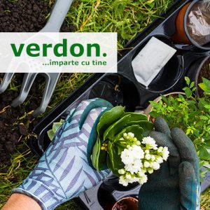 Verdon-Solution-si-a-optimizat-procesele-de-business-cu-ERP-si-BI-preview