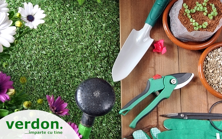 Verdon si-a optimizat procesele de business sisteme software moderne din Romania