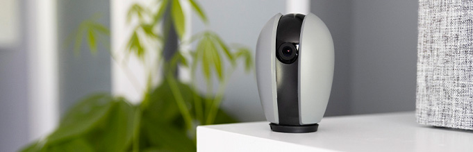 studiu de caz erp wms implementare sisteme software la spy shop