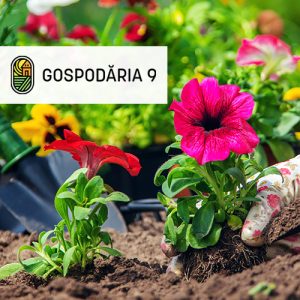 Gospodaria-9-a-scazut-cu-65-timpul-de-procesare-a-unei-comenzi-cu-sistem-ERP-preview
