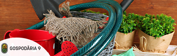 sistem erp pentru gestiune afaceri implementat in cadrul trek tor sell