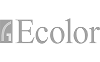 ecolor client senior software implementare sisteme software gri