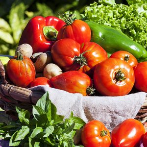 Video-Agroland-cresterea-eficientei-activitatilor-logistice-cu-60-cu-solutii-software-integrate-preview