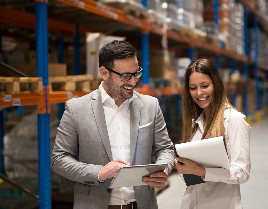 analiza implementare wms