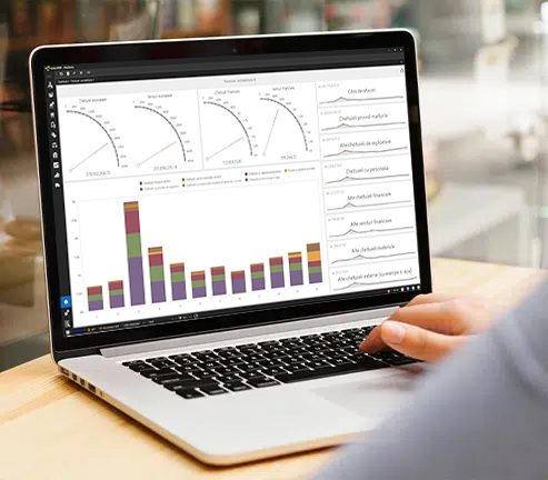 planificare financiara pentru companii