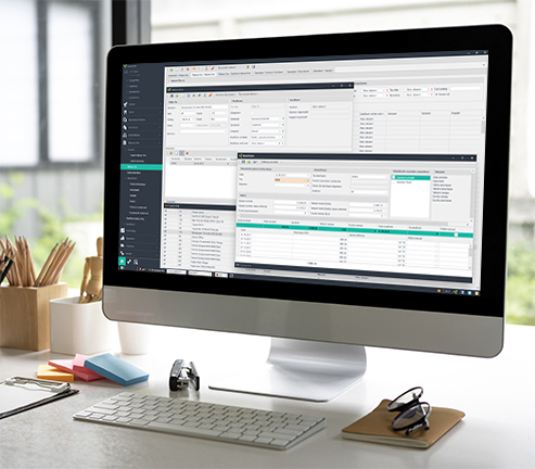 plati si incasari pentru companii