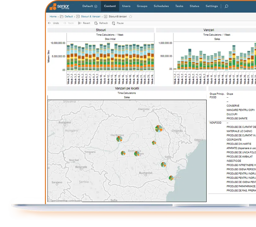 ERP-Analiza-si-raportare