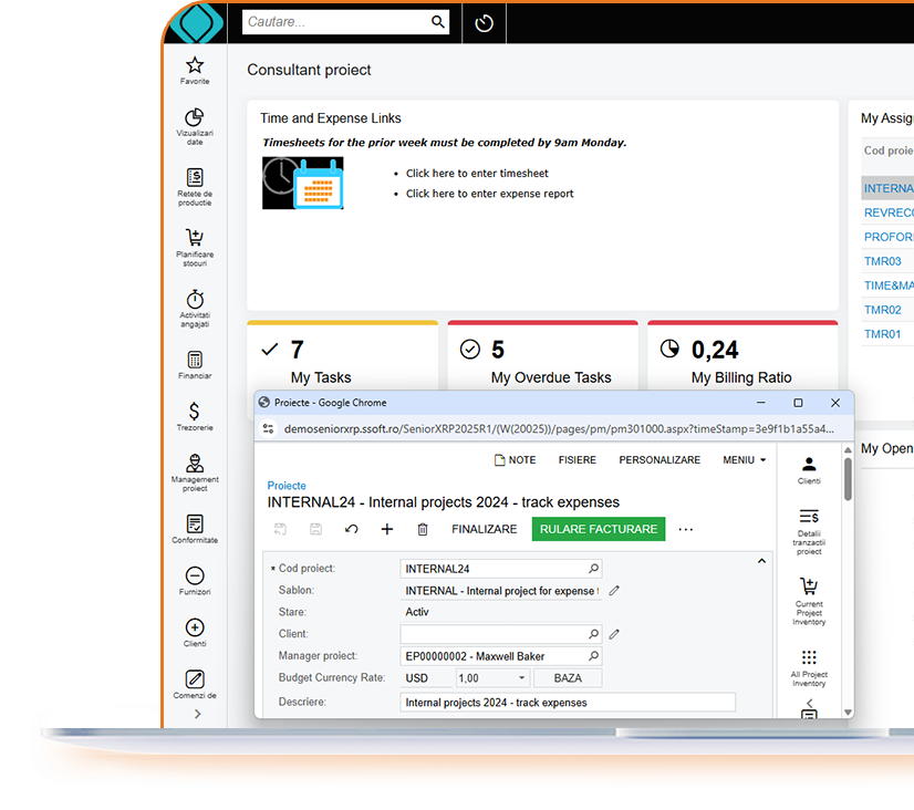 executie si monitorizare proiecte in constructii