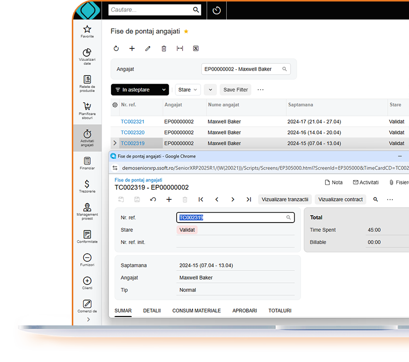 fise de pontaj angajati pentru proiecte