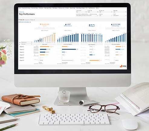 Analiza vanzarilor si a profitabilitatii