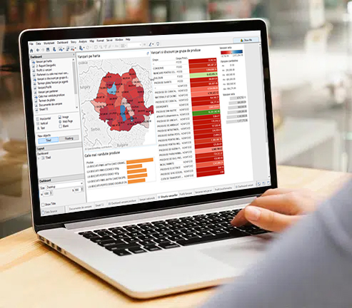 analize geografice in sistem software business intelligence