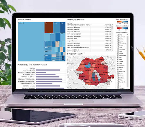 grafice interactive bi business intelligence