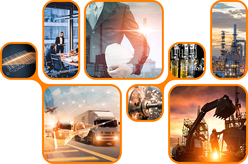 Industrii Senior Software