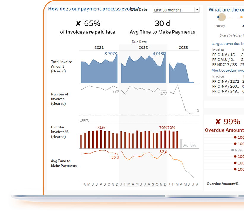 analiza facturilor de platit sistem software