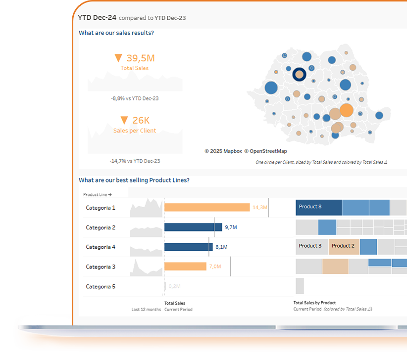 analiza indicatorilor de vanzari sistem software