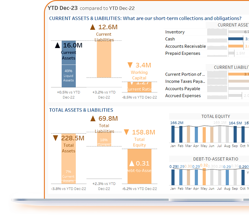 business intelligence rapoarte contabilitate