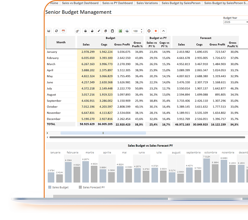 dashboard industrii sistem softwaare bugetare fmcg