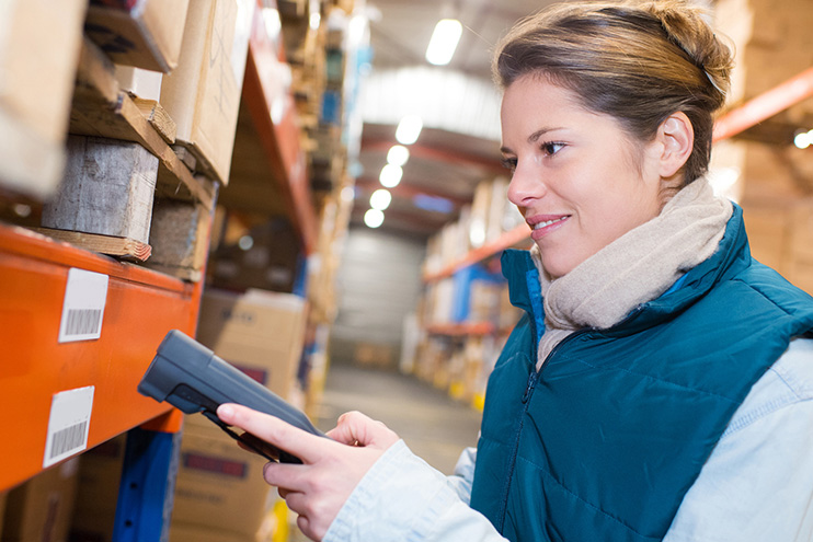 What is WMS - Warehouse Management System preview