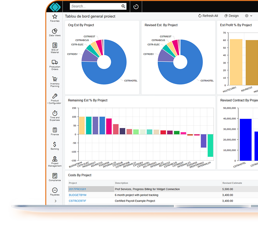 consultanta si proiecte sisteme software pentru afaceri