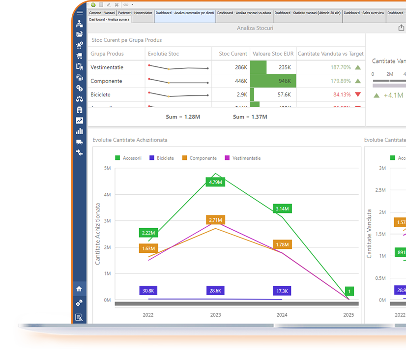 consultanta logistica dashboard sistem software