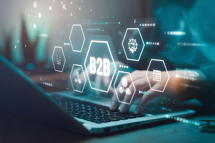Portal B2B conectat la ERP